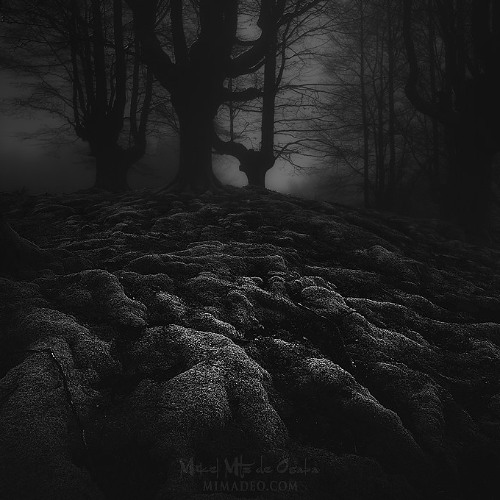 Back to your roots - ReRouted