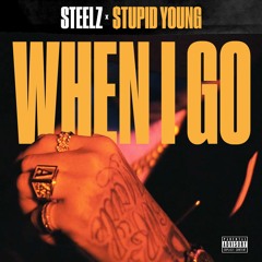 Steelz & $tupid Young - When I Go