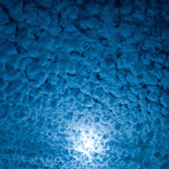 Plappernacht