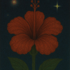 Hibiscos (proyecto eufonia)