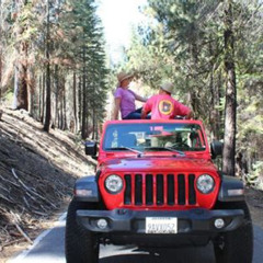 Review Special Price Jeep 4 X 4 Yosemite Park Tour With Hotel Pickup