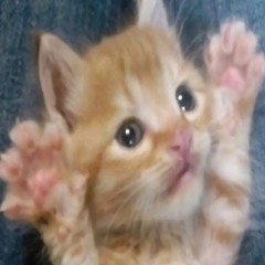 heart attack prod me