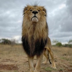 Heights Of Greatness