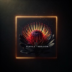 Playa 6 • REBLOOM                                         [Progressive Mix 2025-07-24]