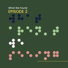 Episode 2 - What We Found
