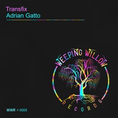 Adrian Gatto - Transfix (Original Mix)