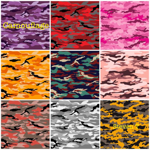 Camouflage (alternate version) (Steven T)