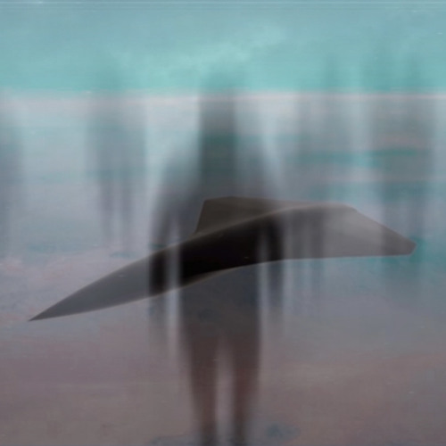 Music For Whales - The art of Drone