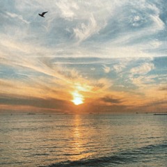 At The Beach