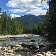 A Calm Moment - Walking along Lemon Creek