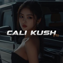 Hard West Coast Rap Beat | CALI KUSH Pt.2