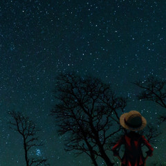 Kyoto 2 - Strangehuman