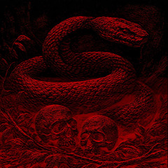 The Python