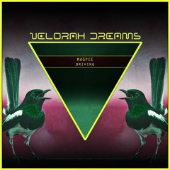Magpie - Driving | ❗️ FREE DOWNLOAD ❗️