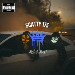 SCATTY 175