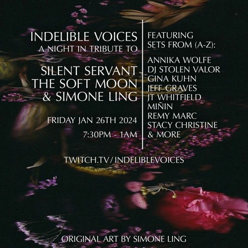 Indelible Voices: Stacy Christine