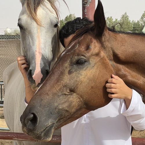 حافره يقدح من السرعه شرار ⚡️
