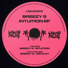 PREMIERE - Breezy S - Intuition
