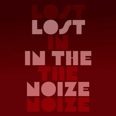 Lost In The Noize