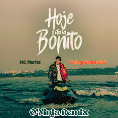 MC Marks - Hoje O Dia Tá Bonito (O'Ninja Remix)