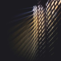 dawn and acquiescence