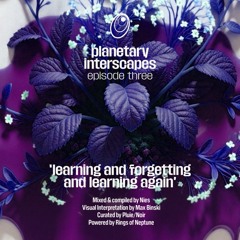 Planetary Interscapes - Episode Three: 'Learning and Forgetting and Learning Again' by Nies