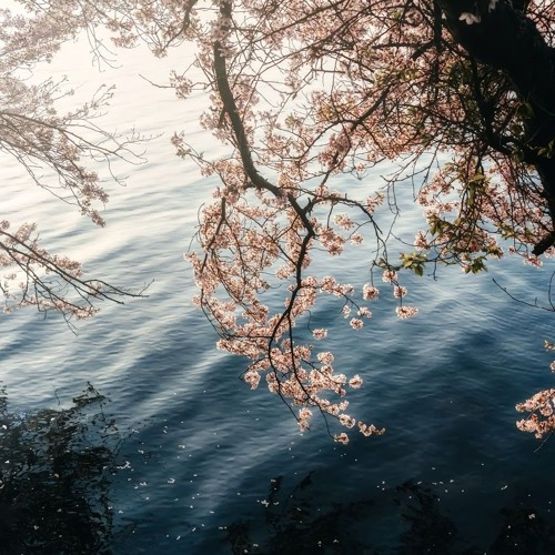 Vậy thì hãy quên đi - 就忘了吧