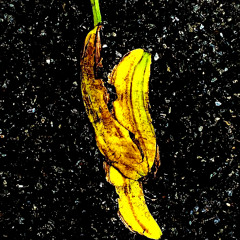 Gently, Teach Me to Walk Gently Upon This Earth