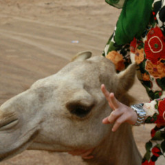 ~̨̛คl๓ภร๏๏๏гเ