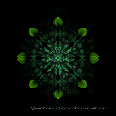 Flustras Arbopinto