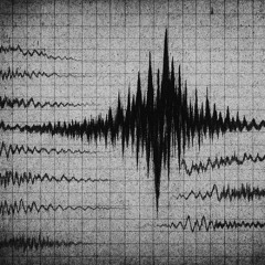 Seismik