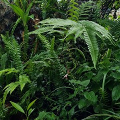 demo chưa có tên ở Đà Lạt