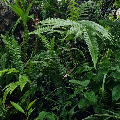 demo chưa có tên ở Đà Lạt