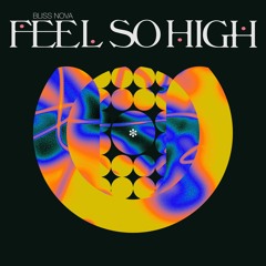Feel So High (feat. Brijean)