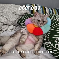 SPIRAL KINETIC LIQUID DREAMS