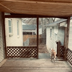 Rain In The Afternoon