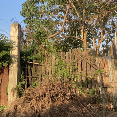 A Kiss (Kylon Dixon & Michael Stein Cover)