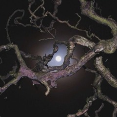 PartytilltheEnd #2200