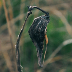 sometimes you need to act funny to keep going