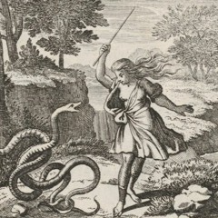 Williams - The Arrival