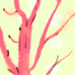 like a plum blossom