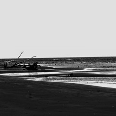 DSC_0092