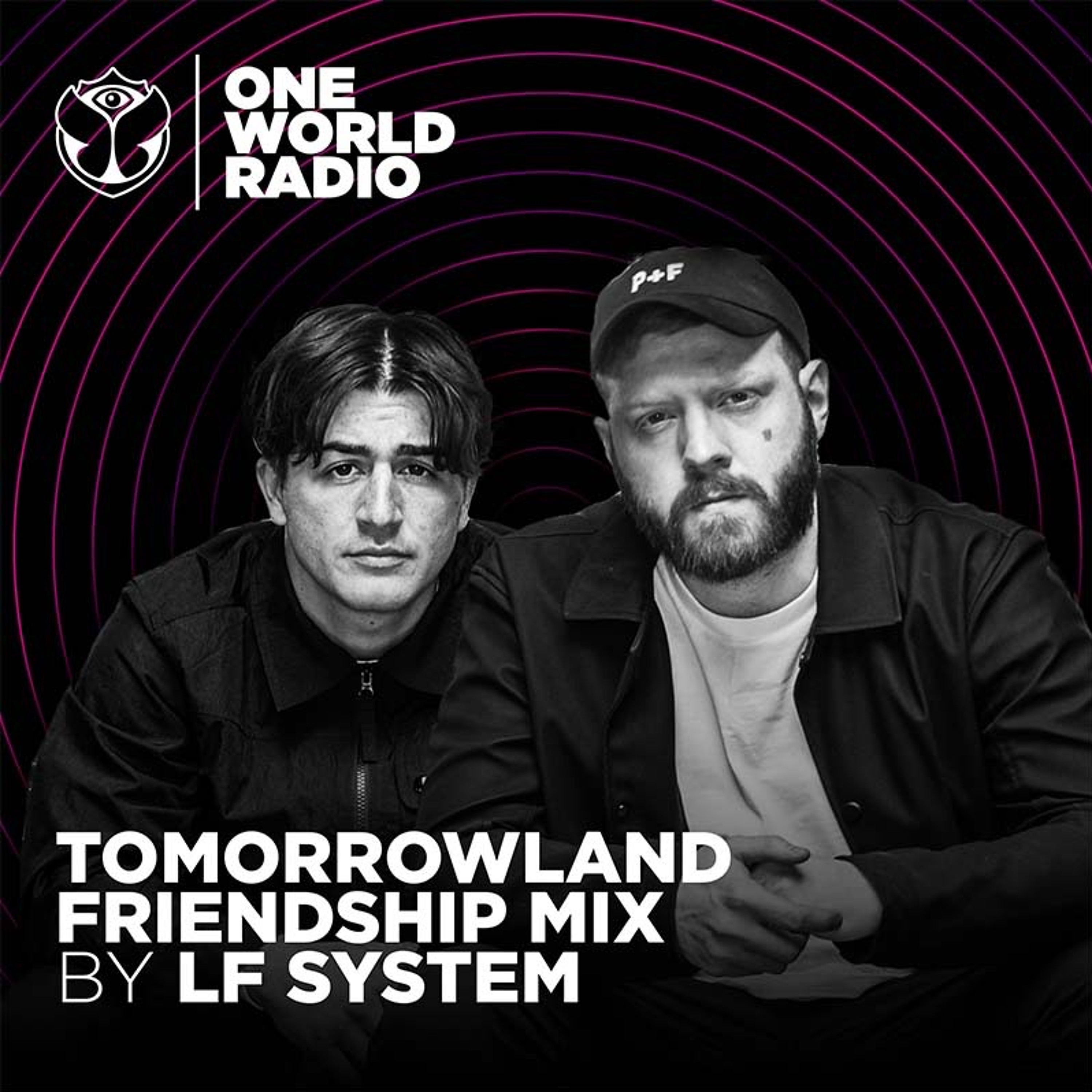 Tomorrowland Friendship Mix - LF SYSTEM
