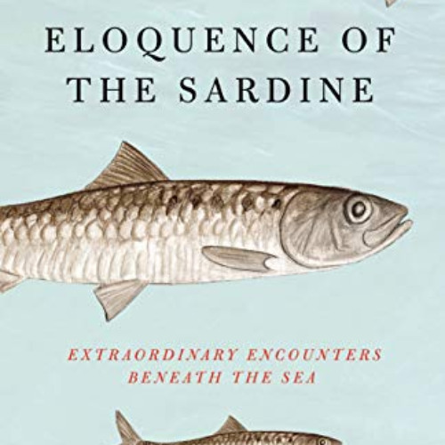 free EBOOK 💜 Eloquence of the Sardine: Extraordinary Encounters Beneath the Sea by