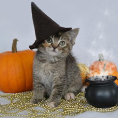 Bubblebuddy Halloween Special