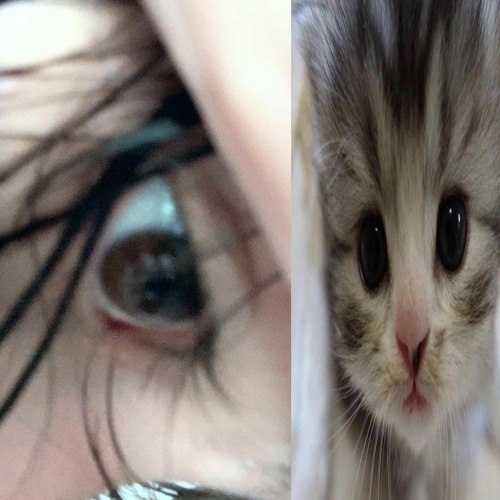 Don T - Wanna - Know Dodie