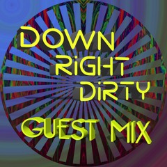 DownRightDirtyProductions - Down Right Dirty Guest Mix 048 Mr Falcon