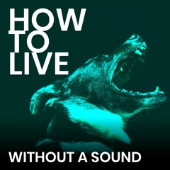 Without A Sound