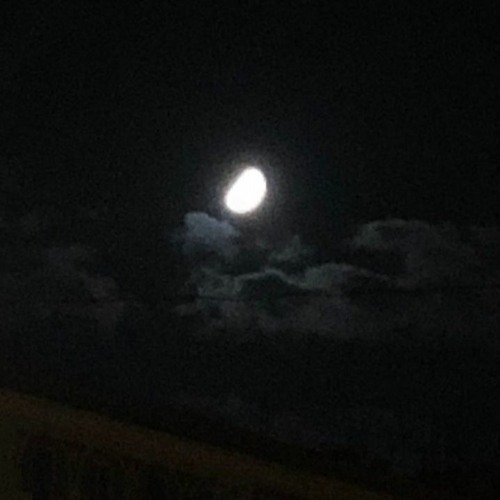 It's better to die early(prod.jeid)