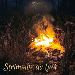 Strimmor av ljus (feat. Fagersjö Sångfåglar & Vox Vibrante)